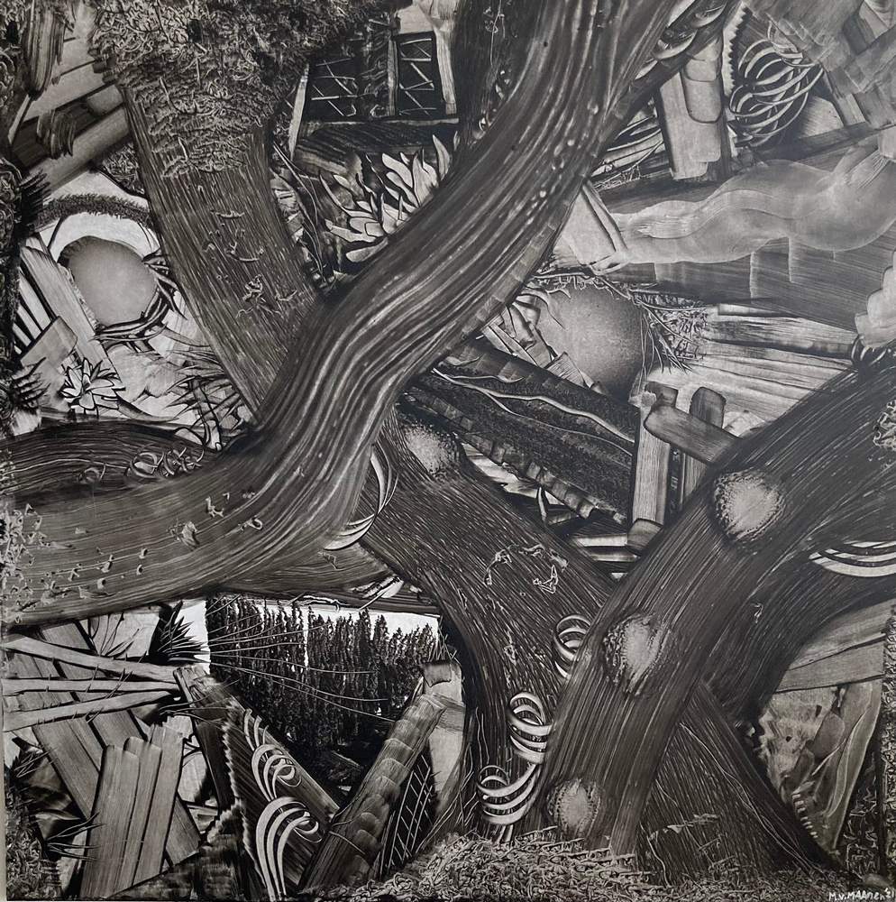 Dimension of Nature I